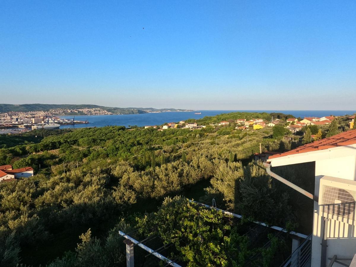 Ferienwohnung House Among Olive Trees With A Sea View 1 Ankaran Exterior foto